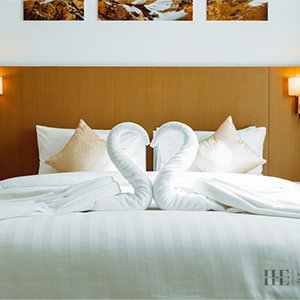 Premium One Bedroom